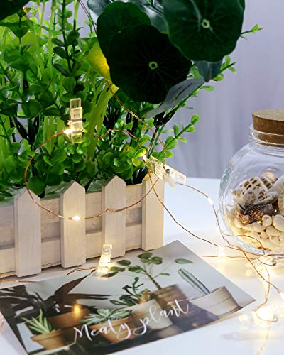 Lichterkette mit Klammern für Fotos 5M 50LED Foto Batteriebetriebene Fotoclips für Wohnzimmer, Weihnachten, Hochzeiten, Party Bilder Aufhängen[Energieklasse E] #4