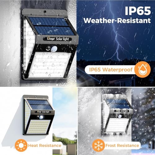 IP65 waterproof construction protecting against heavy rain and sunlight