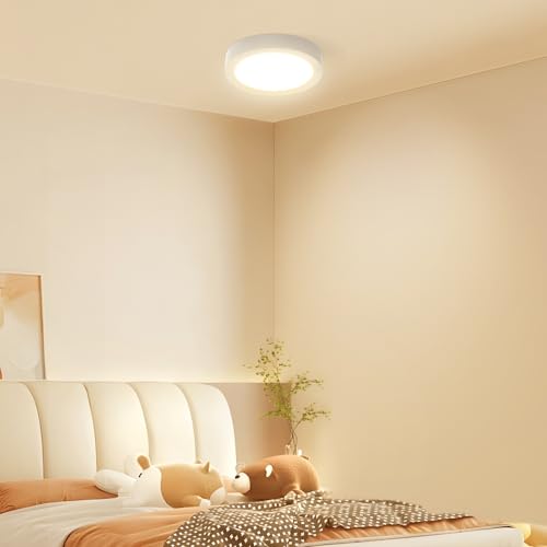4.7Inch/12cm White Mini Round Ceiling Light, 3 Color Temperature IP44