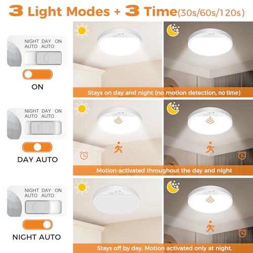 displaying 3 working modes: constant on, all-day induction, night-only induction