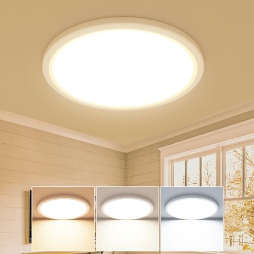 22cm 18W Round LED Ceiling Light 3 Color Temperature IP44