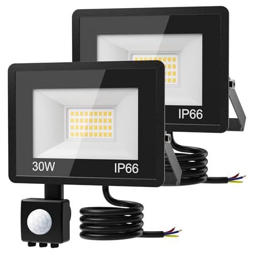 Flood Lights Motion Sensor 6500K IP66 Waterproof (30W 3000LM)