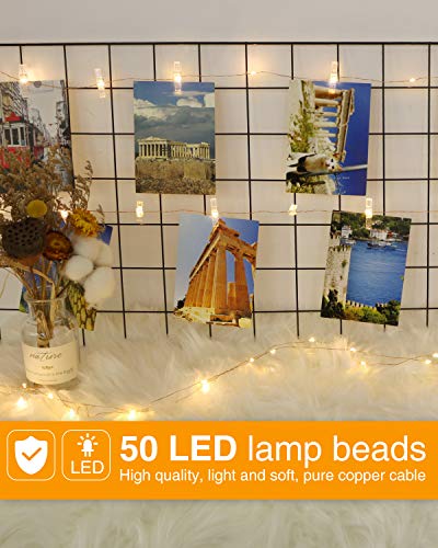 50 warm white LEDs on flexible copper wire spaced 10cm apart